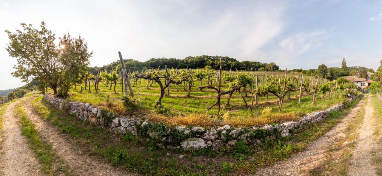 Fattoria Le Vegre Villa Arcugnano Exterior photo