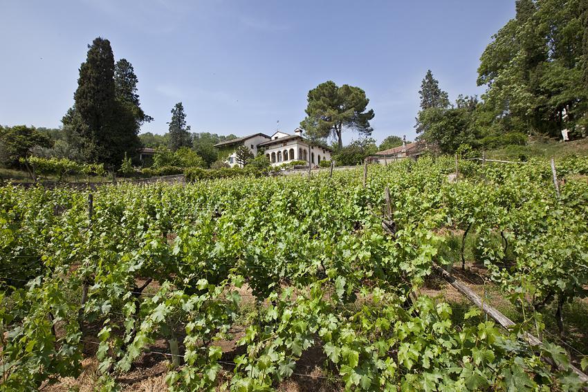 Fattoria Le Vegre Villa Arcugnano Exterior photo
