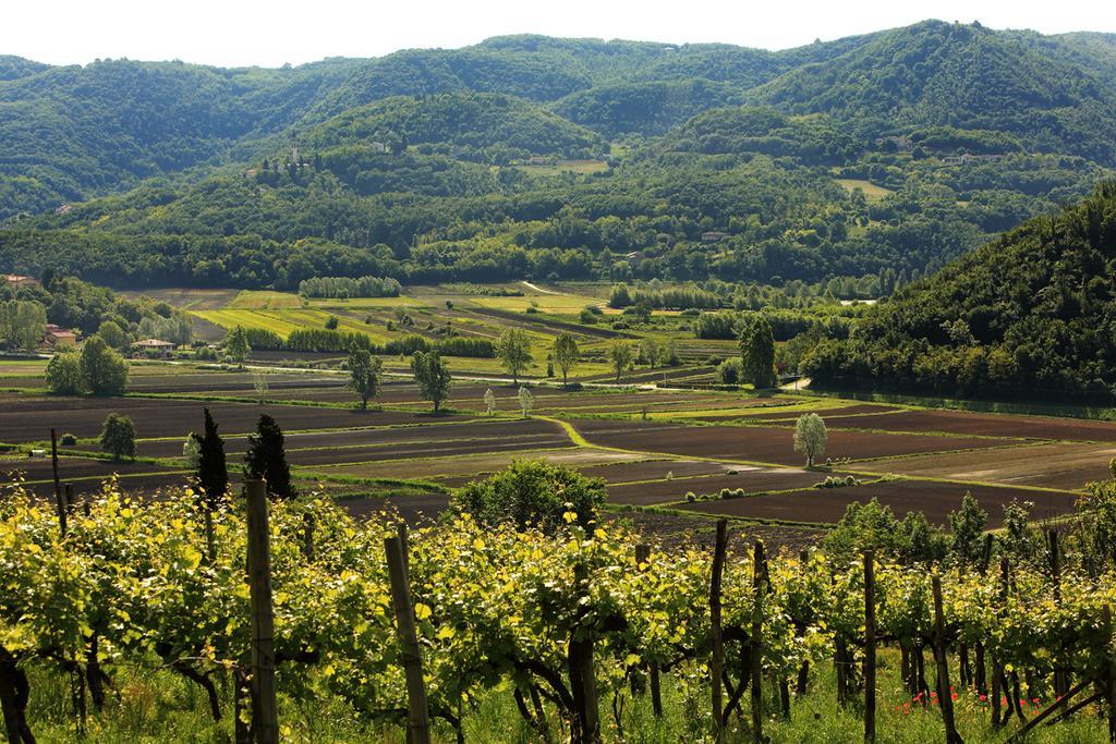 Fattoria Le Vegre Villa Arcugnano Exterior photo